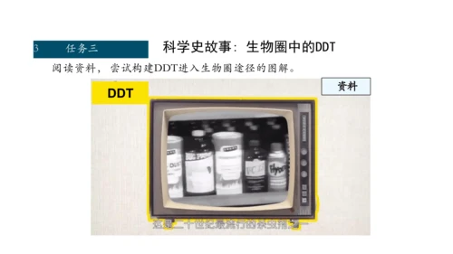 1.2.3 生物圈是最大的生态系统 课件（共28张PPT）