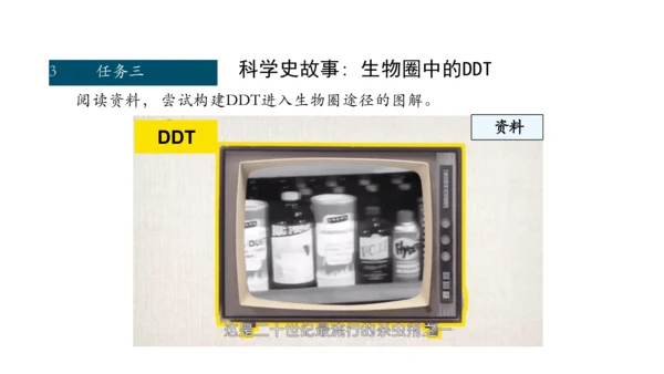 1.2.3 生物圈是最大的生态系统 课件（共28张PPT）