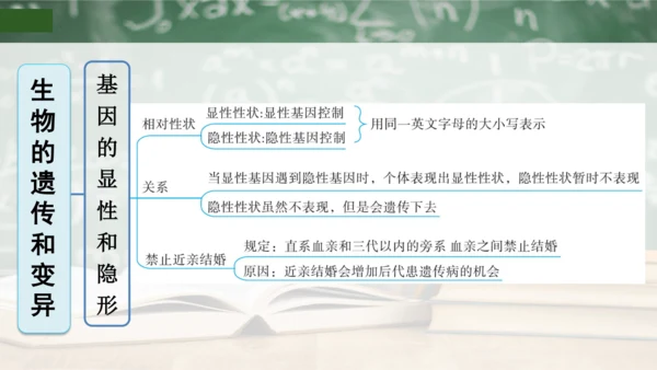 第2章 生物的遗传与变异（复习课件）-八年级生物下册章末知识总结 检测卷（人教版）(共19张PPT)