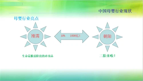 “宝宝家“母婴生态联盟.商业计划书