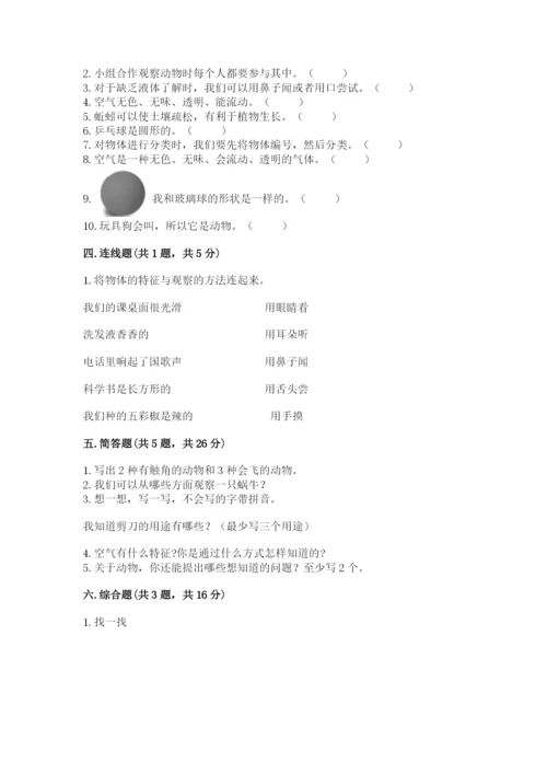 教科版一年级下册科学期末测试卷【轻巧夺冠】.docx