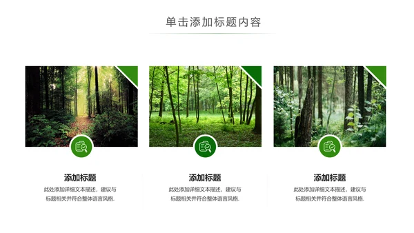 湿地森林世界湿地森林日植树造林动态PPT模板