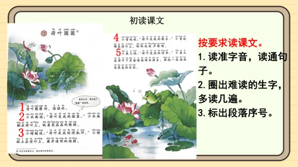 12 荷叶圆圆（课件）