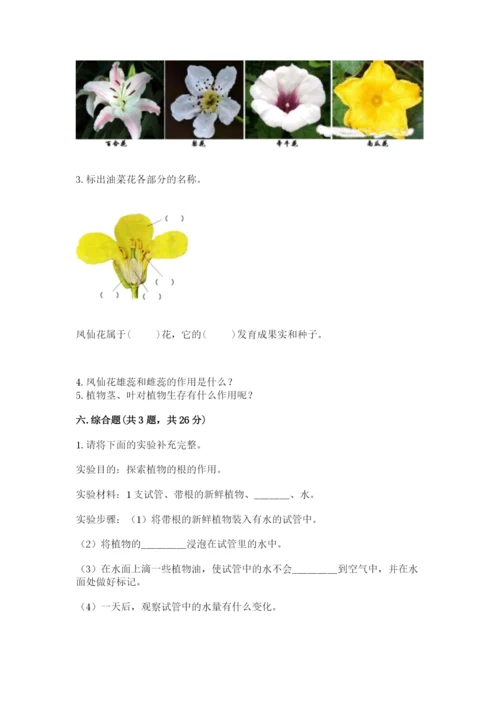 科学四年级下册第一单元植物的生长变化测试卷及答案【真题汇编】.docx