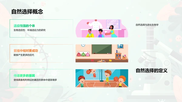 生物进化与物种起源PPT模板