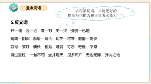 统编版2023-2024学年二年级语文上册单元速记巧练第五单元（复习课件）