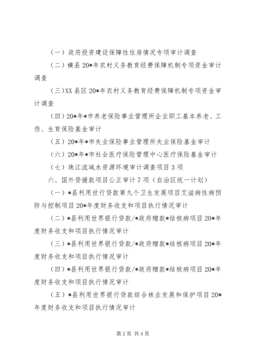 政府审计工作计划.docx