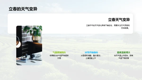 立春节气的奥秘解析