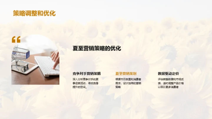 夏至营销战略解析