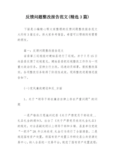 反馈问题整改报告范文(精选3篇).docx