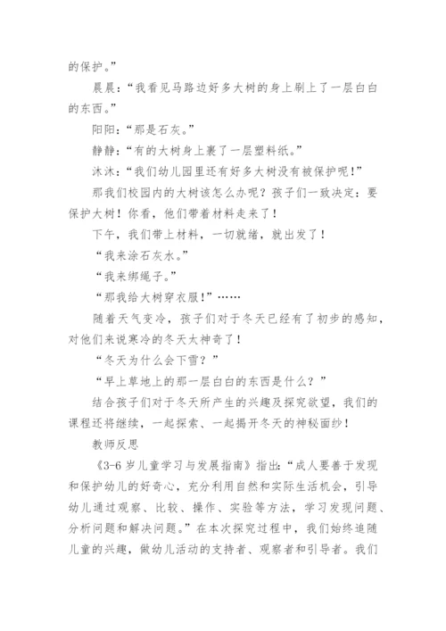 幼儿园课程故事.docx