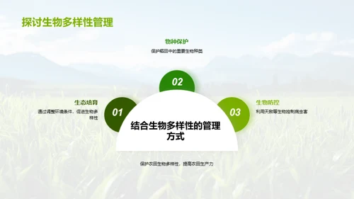 稻田生态与产量提升