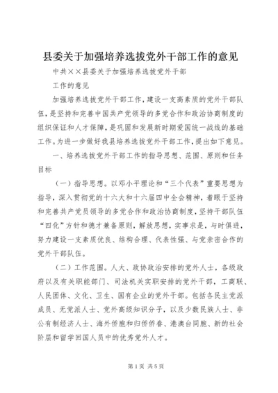 6县委关于加强培养选拔党外干部工作的意见.docx