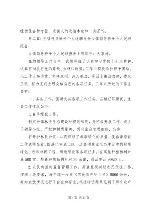 乡镇领导班子个人述职报告.docx