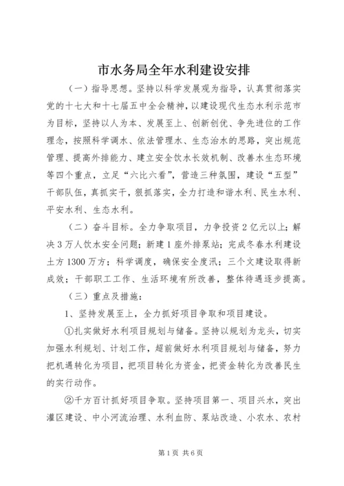 市水务局全年水利建设安排.docx