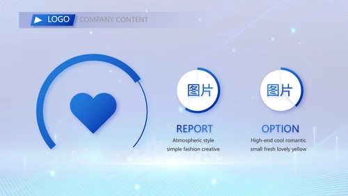 蓝色科技信息化建设工作总结PPT