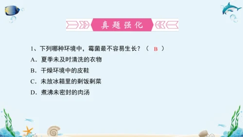 人教版八年级生物上册5.4《细菌和真菌》复习课件（含31张ppt）
