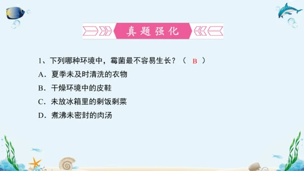 人教版八年级生物上册5.4《细菌和真菌》复习课件（含31张ppt）