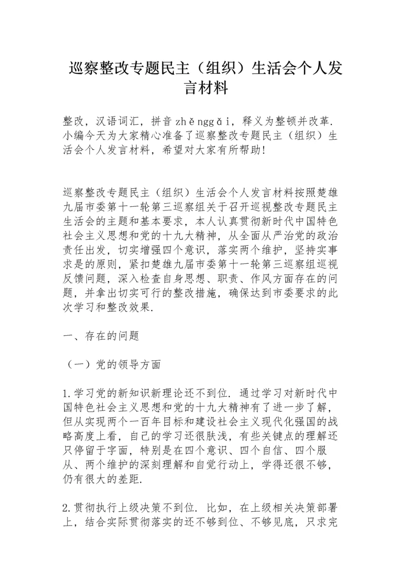 巡察整改专题民主（组织）生活会个人发言材料.docx
