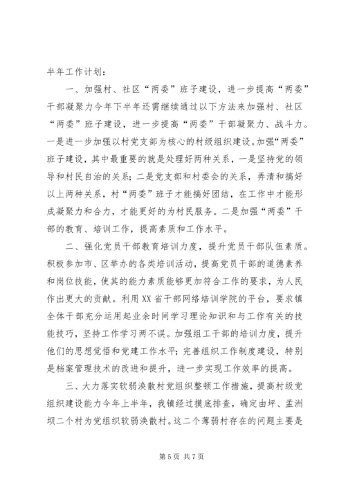 乡镇组织办上半年工作总结及下半年工作计划.docx