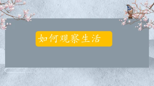七年级语文上册第一单元写作  热爱生活，学会观察 课件
