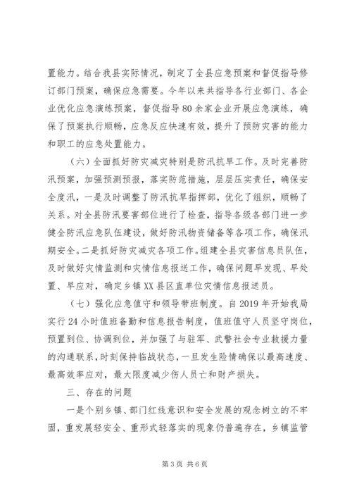 应急管理局XX年工作总结及XX年工作计划.docx