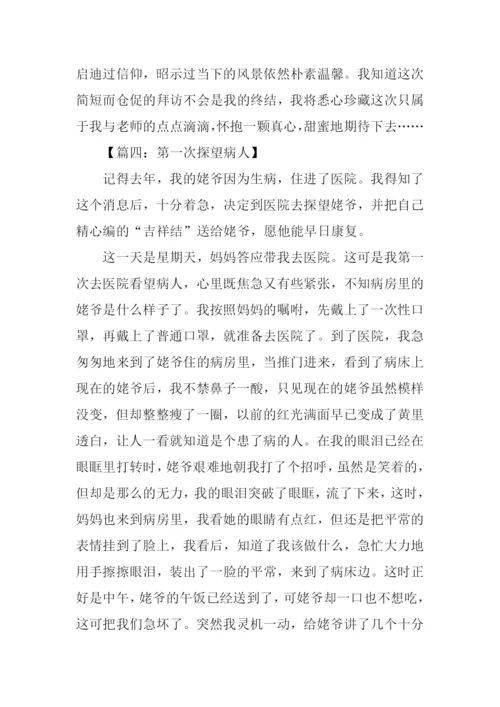 关于一次拜访的作文.docx