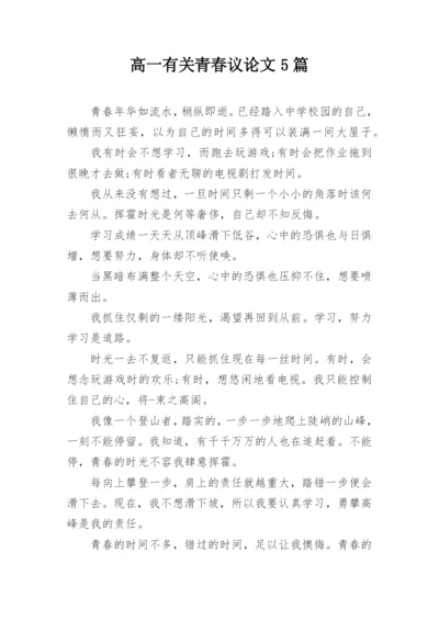 高一有关青春议论文5篇精编.docx