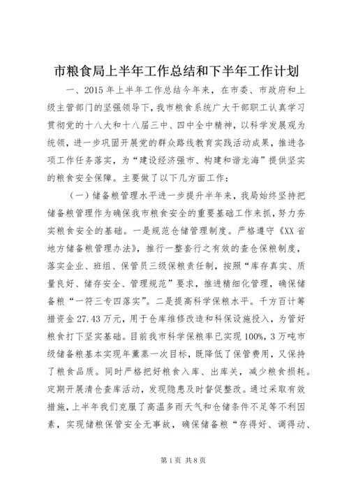 市粮食局上半年工作总结和下半年工作计划.docx