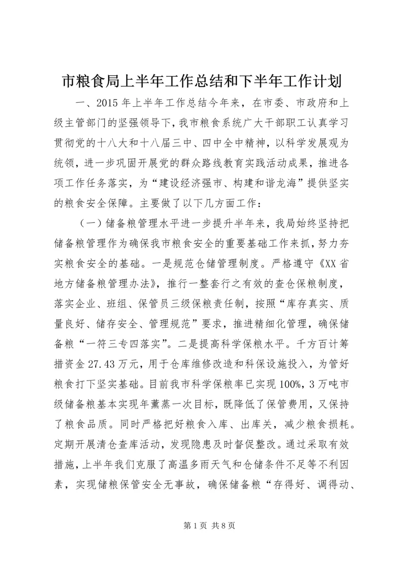 市粮食局上半年工作总结和下半年工作计划.docx