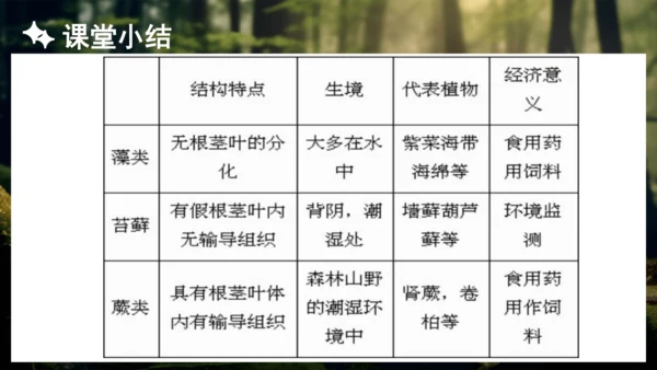 3.1.1 藻类、苔藓和蕨类植物 课件 人教版生物七年级上册(共27张PPT)