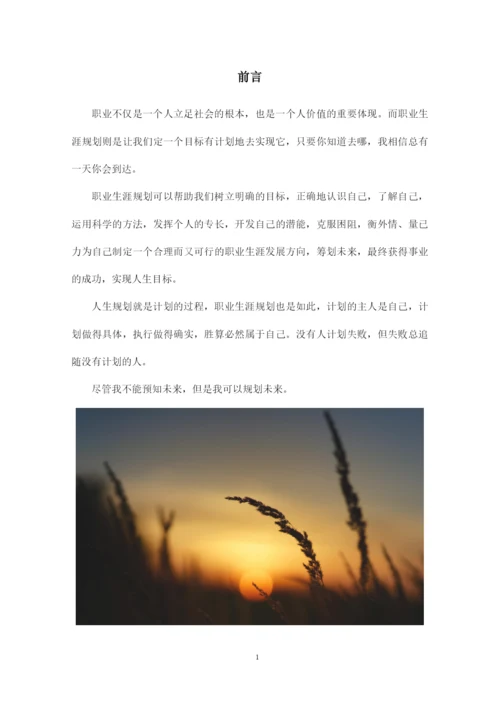 16页5400字国际经济与贸易专业职业生涯规划.docx