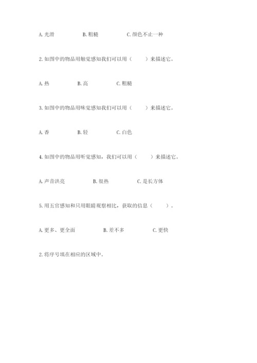 教科版小学科学二年级下册 期末测试卷精品（巩固）.docx