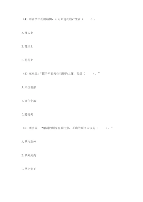 科学四年级下册第一单元植物的生长变化测试卷新版.docx