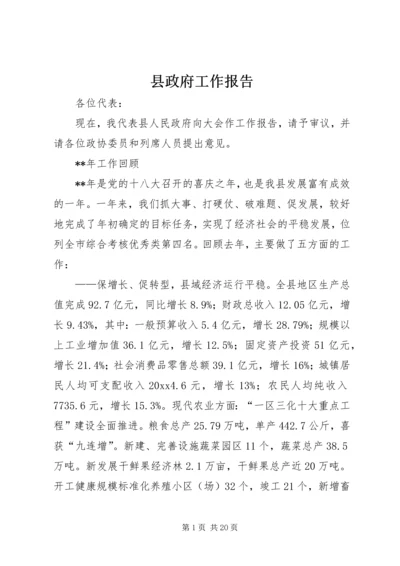 县政府工作报告 (23).docx