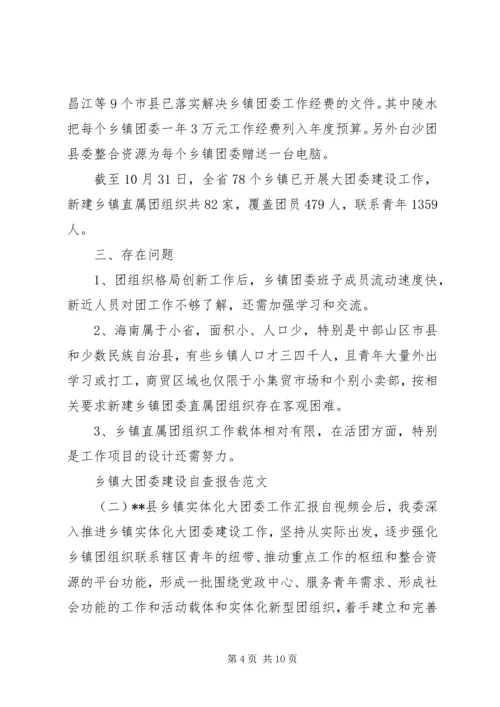 乡镇大团委建设自查报告某年.docx