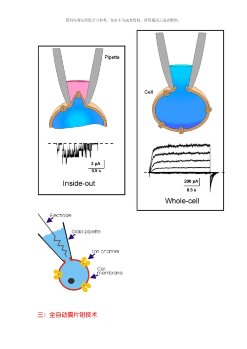 膜电钳技术简介模板.docx