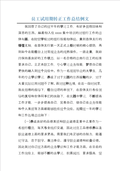 员工试用期转正工作总结例文