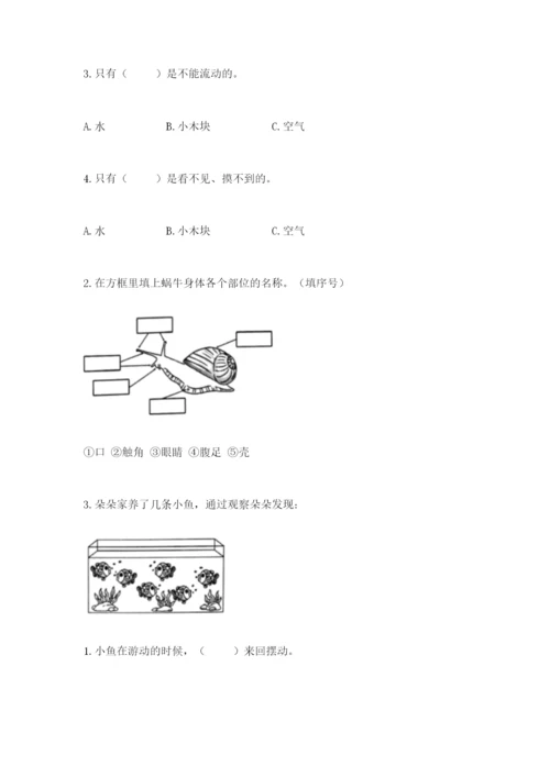 教科版小学科学一年级下册期末测试卷【夺冠系列】.docx