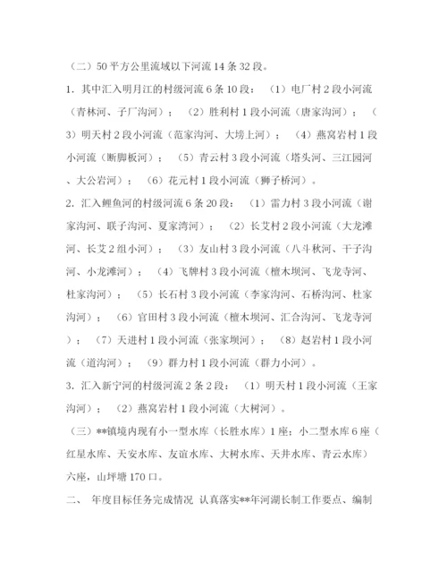 精编之河长制工作总结范文7篇汇编个人工作总结范文.docx