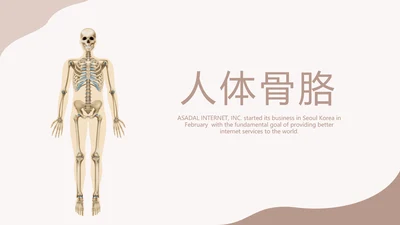 医学人体骨胳动态PPT模板