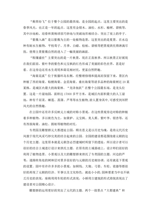 设计的实习报告模板集合5篇.docx