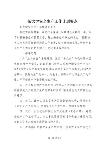 某大学安全生产工作计划要点 (3).docx