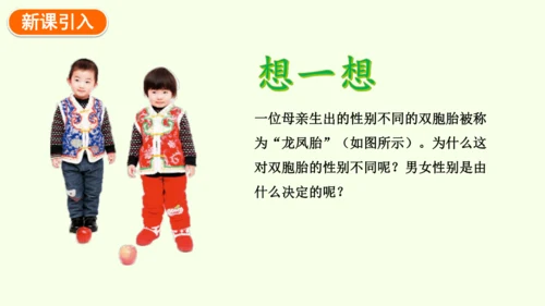 7.2.4人的性别遗传-八年级生物人教版下学期同步精品课件(共28张PPT)