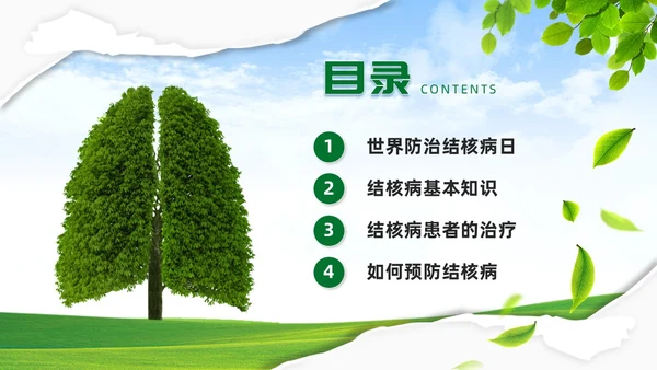 绿色简约世界防治结核病日你我共同努力终结结核流行PPT课件
