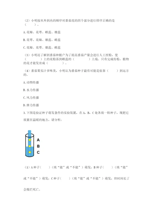 教科版四年级下册科学第一单元《植物的生长变化》测试卷附答案（精练）.docx