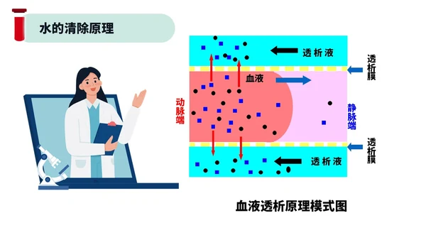 红色绿色插画风简约风血液透析及并发症医疗护理培训PPT血透