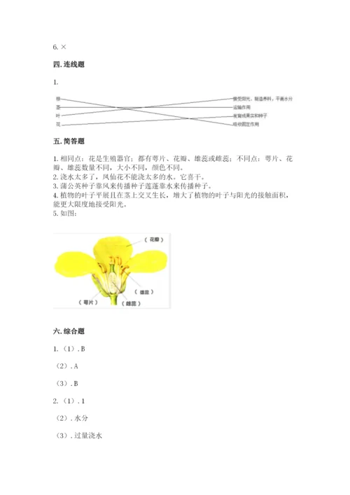 科学四年级下册第一单元《植物的生长变化》测试卷【必考】.docx