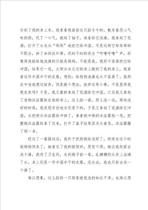 叙事的作文600字锦集6篇