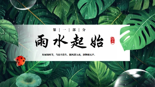 雨水节气通用PPT模板